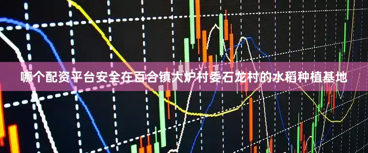 哪个配资平台安全在百合镇大炉村委石龙村的水稻种植基地