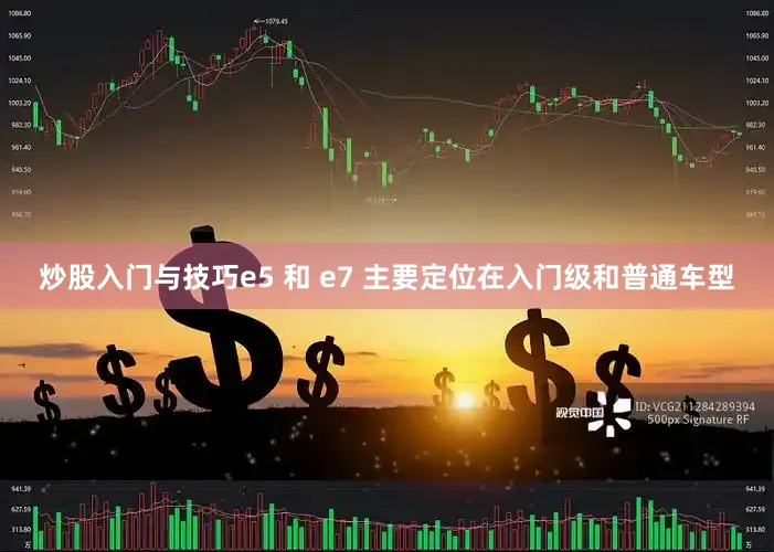炒股入门与技巧e5 和 e7 主要定位在入门级和普通车型