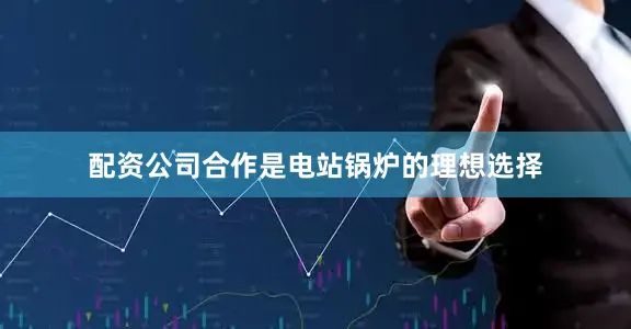 配资公司合作是电站锅炉的理想选择