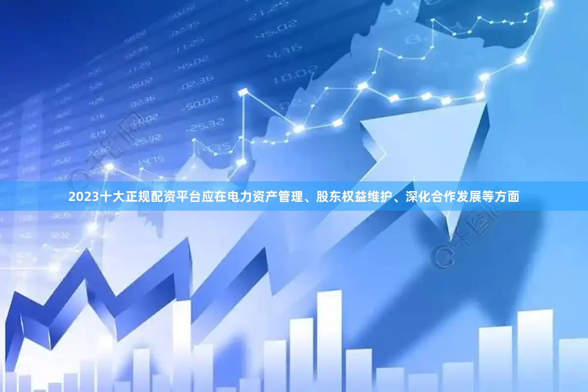 2023十大正规配资平台应在电力资产管理、股东权益维护、深化合作发展等方面