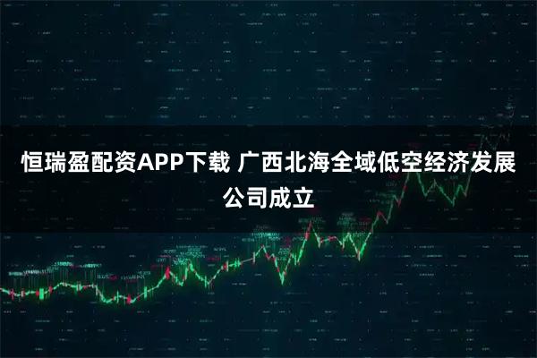 恒瑞盈配资APP下载 广西北海全域低空经济发展公司成立