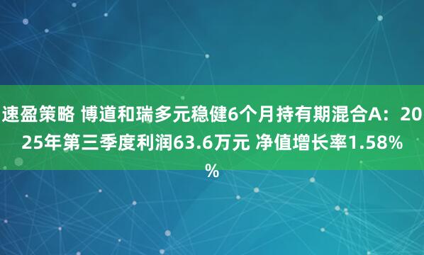 速盈策略 博道和瑞多元稳健6个月持有期混合A：2025年第三季度利润63.6万元 净值增长率1.58%