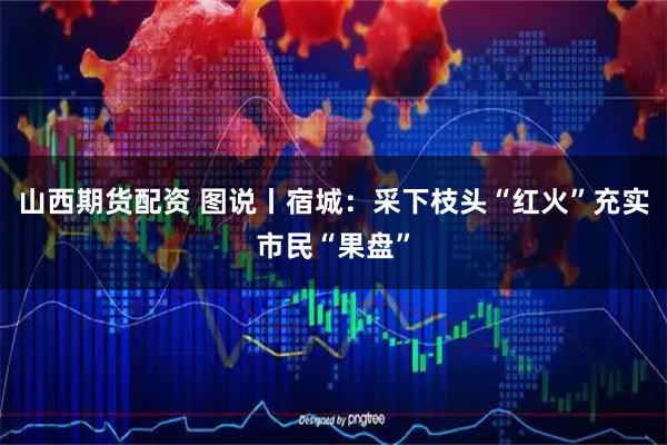 山西期货配资 图说丨宿城：采下枝头“红火”充实市民“果盘”