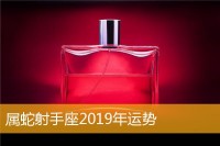 属蛇射手座2019年运势