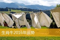 生肖牛2016年运势