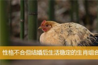 性格不合但结婚后生活稳定的生肖组合-cp121彩票首页网体彩大星